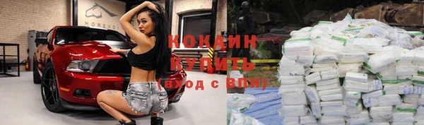 тгк Богородицк
