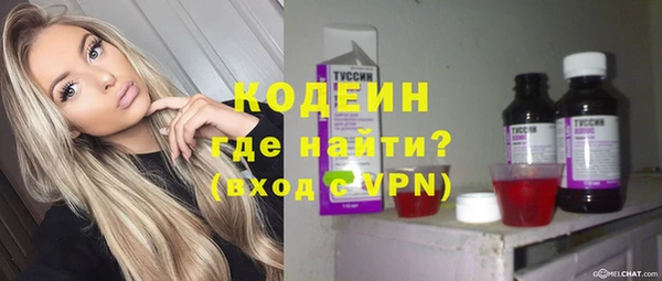гашик Бородино