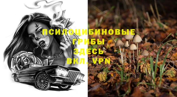 каннабис Заводоуковск