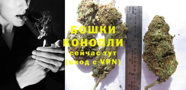 тгк Богородицк