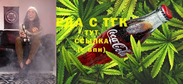 тгк Богородицк