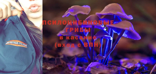 трава Бронницы