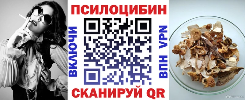 Псилоцибиновые грибы Psilocybe  Бородино 